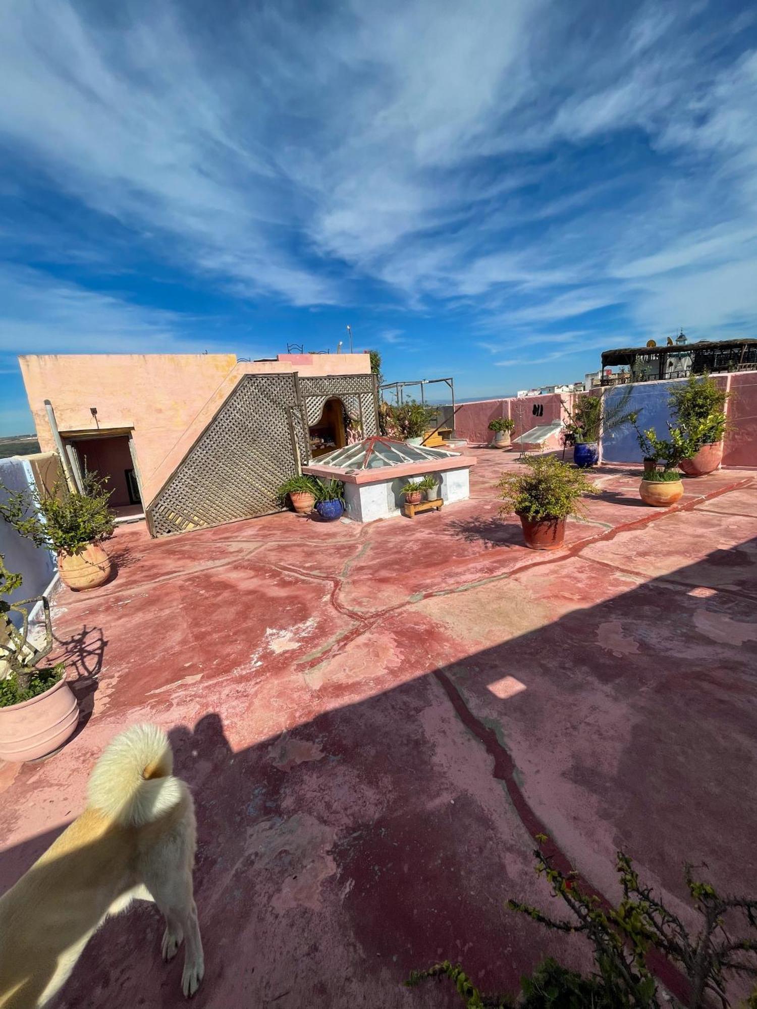 La Maison Haute Larache Morocco Экстерьер фото